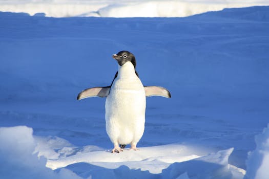 All About LINUX